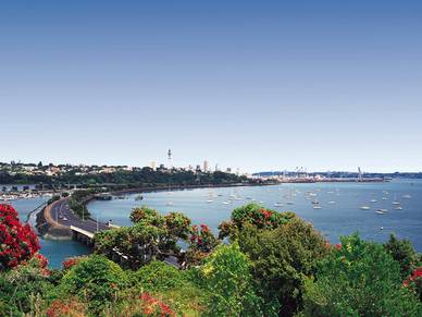 Blick auf Auckland und Hafen, Englisch Sprachreisen für Erwachsene