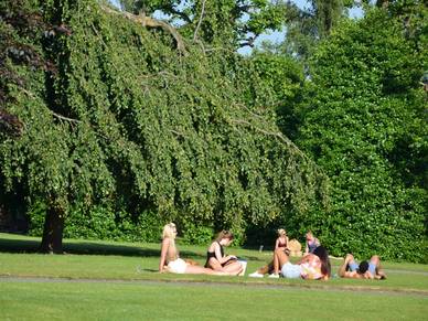 Sonne genießen im Park in Chester, Englisch Sprachreisen für Schüler