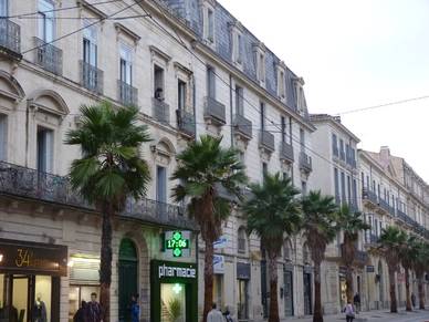 Innenstadt Montpellier, Französisch Sprachreisen für Erwachsene