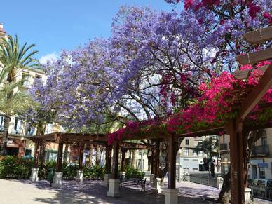 Blumiger Park in Alicante, Spanisch Sprachreisen für Erwachsene Spanien