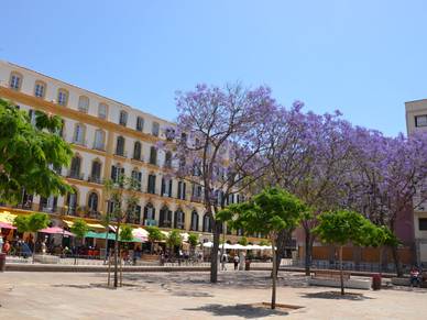 Treffpunkt Plaza de la Merced - mit StudyLingua-Sprachreisen nach Málaga