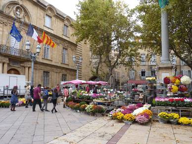 Blumenmarkt in Aix-en-Provence, Französisch Sprachreisen für Erwachsene