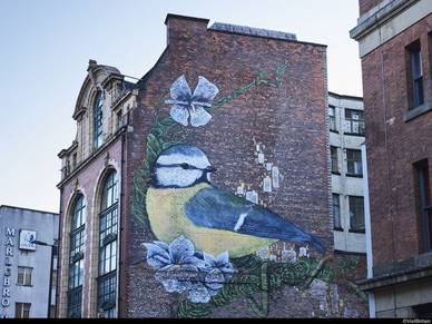 Streetart in Manchester, Sprachreisen für Erwachsene England