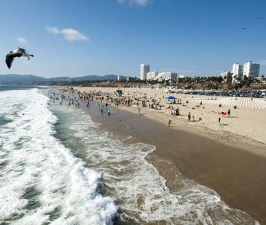 Strand von Santa Monica, Englisch Sprachreisen für Erwachsene