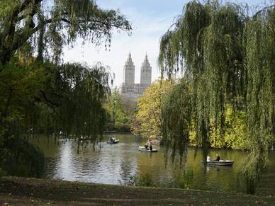 Central Park New York, Englisch Sprachreisen für Erwachsene