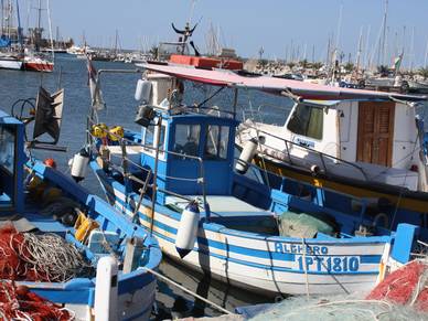 Schifferboot in Alghero auf Sardinien, Italienisch Sprachreisen für Erwachsene