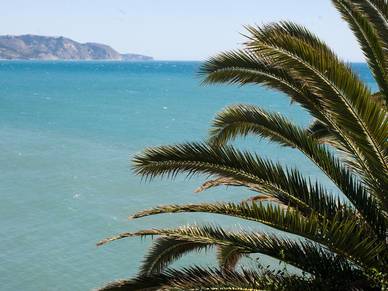 Palmen und Meer, Spanisch Sprachreisen für Erwachsene Málaga