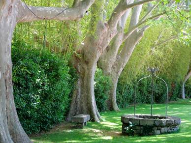Garten der Französisch Sprachschule Aix-en-Provence