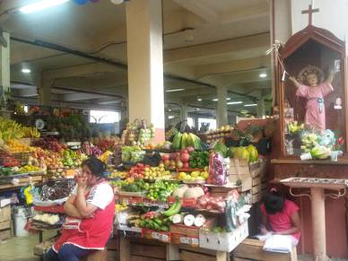 Markt in Cuenca, Spanisch Sprachreisen für Erwachsene