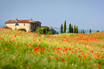 Sprachschulen für Business Italienisch in Italien von StudyLingua-Sprachreisen