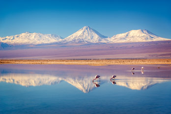 Spanisch Sprachreisen nach Chile für Erwachsene mit StudyLingua-Sprachreisen