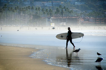 Englisch Sprachreise San Diego La Jolla für Erwachsene mit StudyLingua